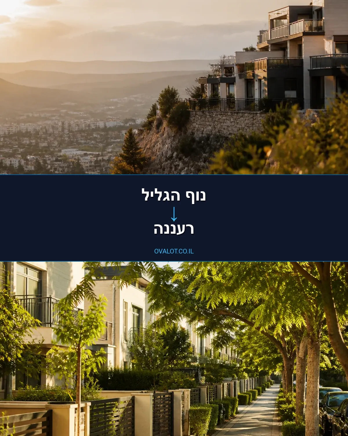הובלות בתים פרטיים מנוף הגליל לרעננה
