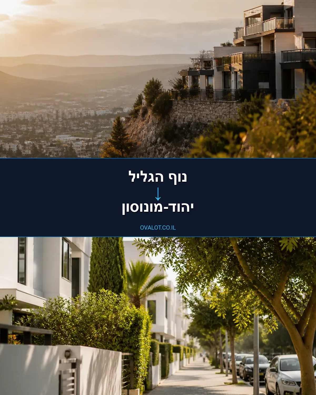 הובלות יצירות אמנות מנוף הגליל ליהוד-מונוסון