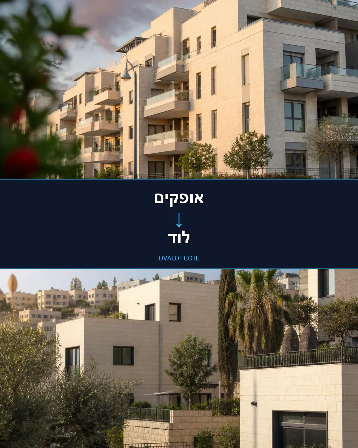 הובלה בקירור מאופקים ללוד