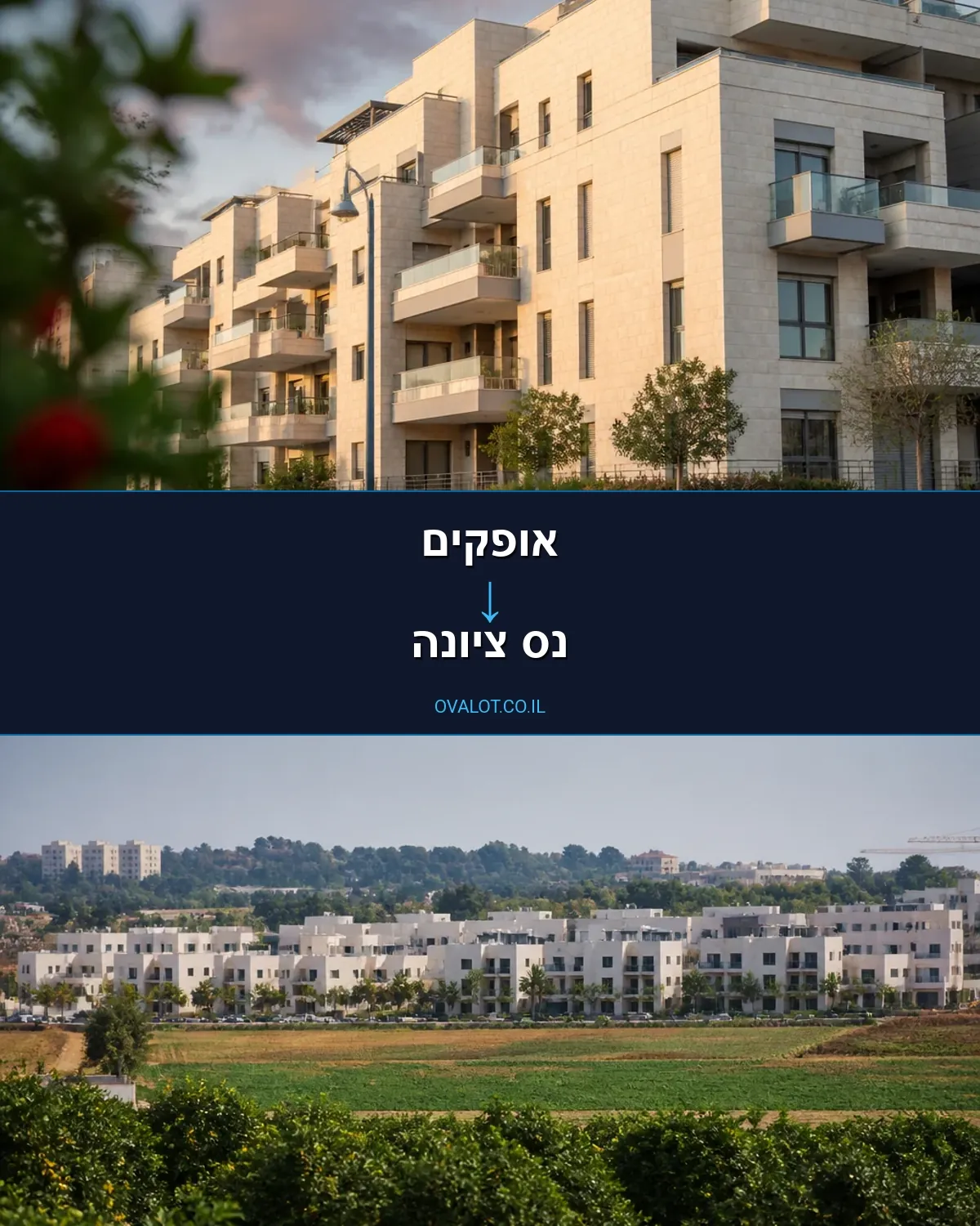 הובלות עם מנוף מאופקים לנס ציונה