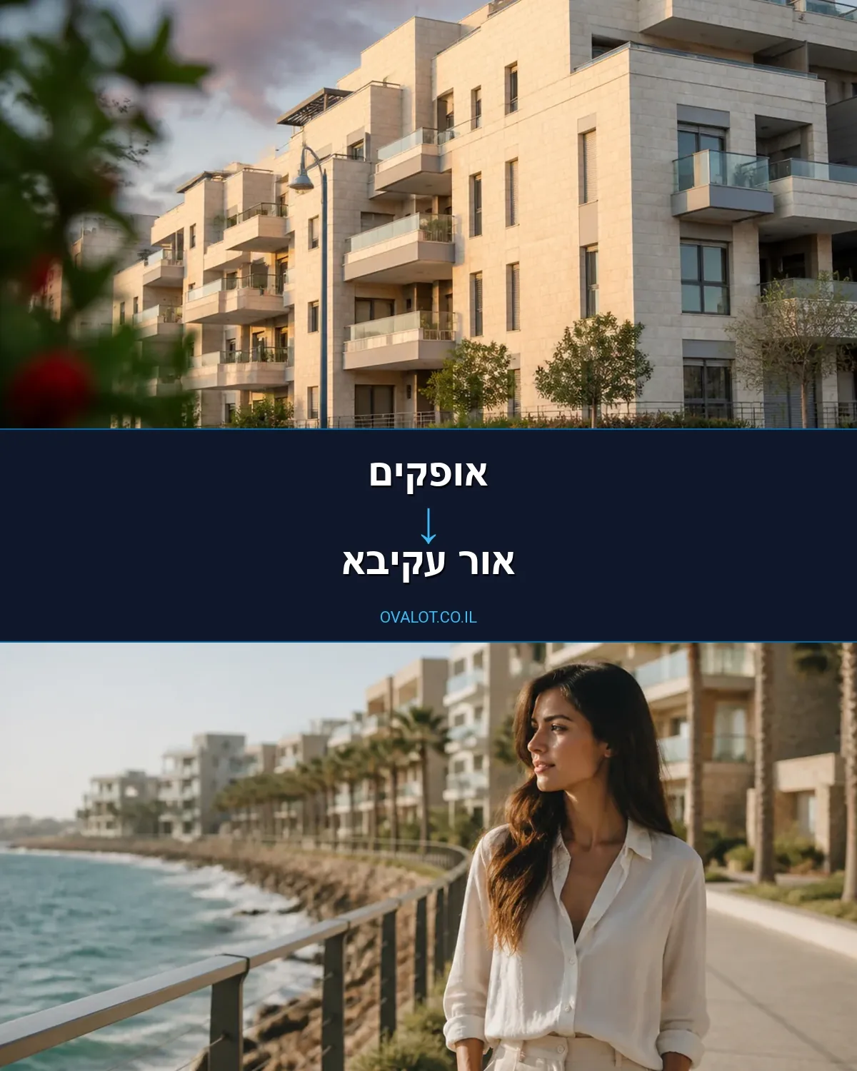 שירותי אריזה מאופקים לאור עקיבא
