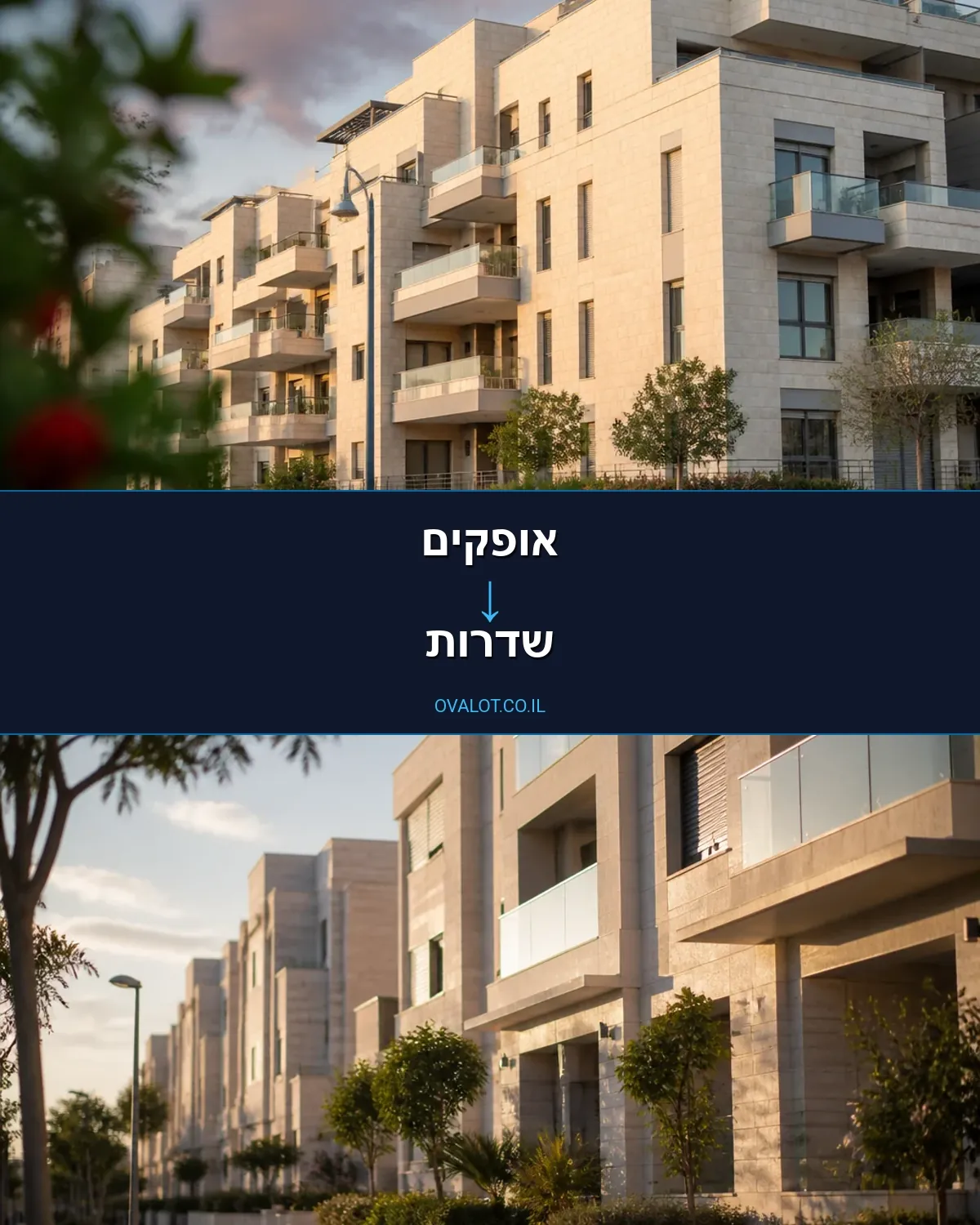 הובלות עם מנוף מאופקים לשדרות