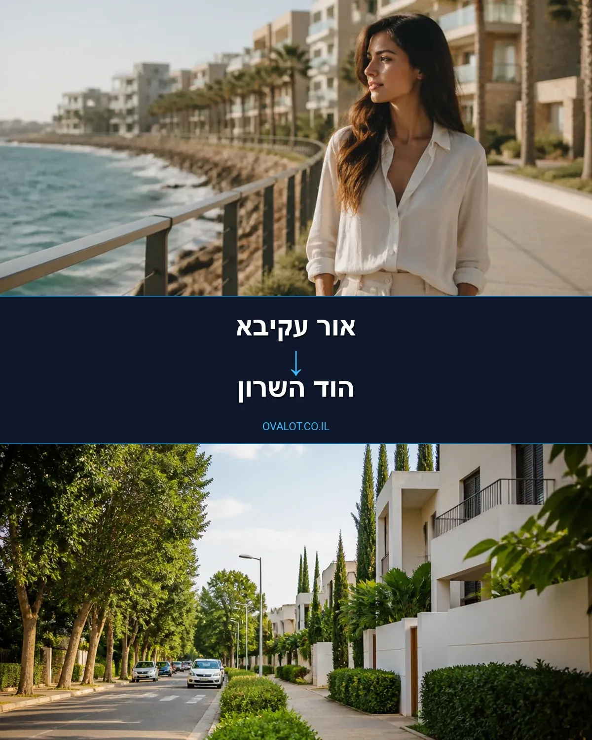 הובלות עם מנוף מאור עקיבא להוד השרון