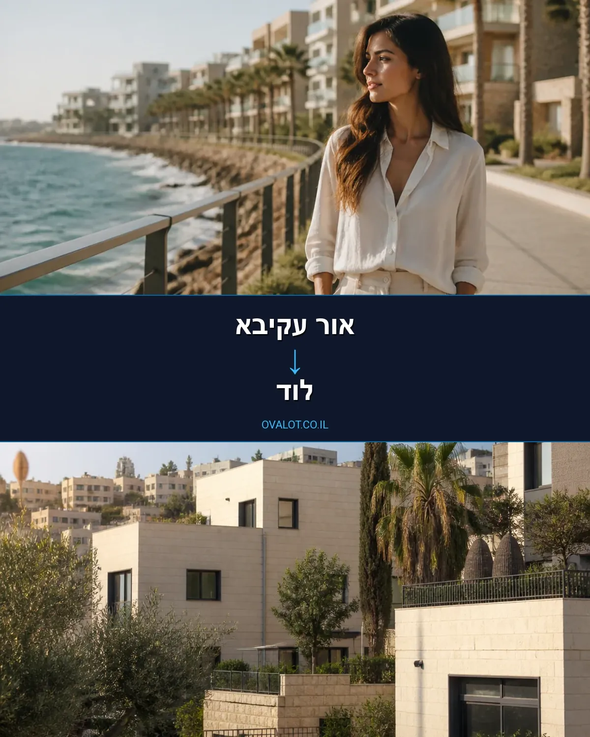 הובלות דירה מאור עקיבא ללוד