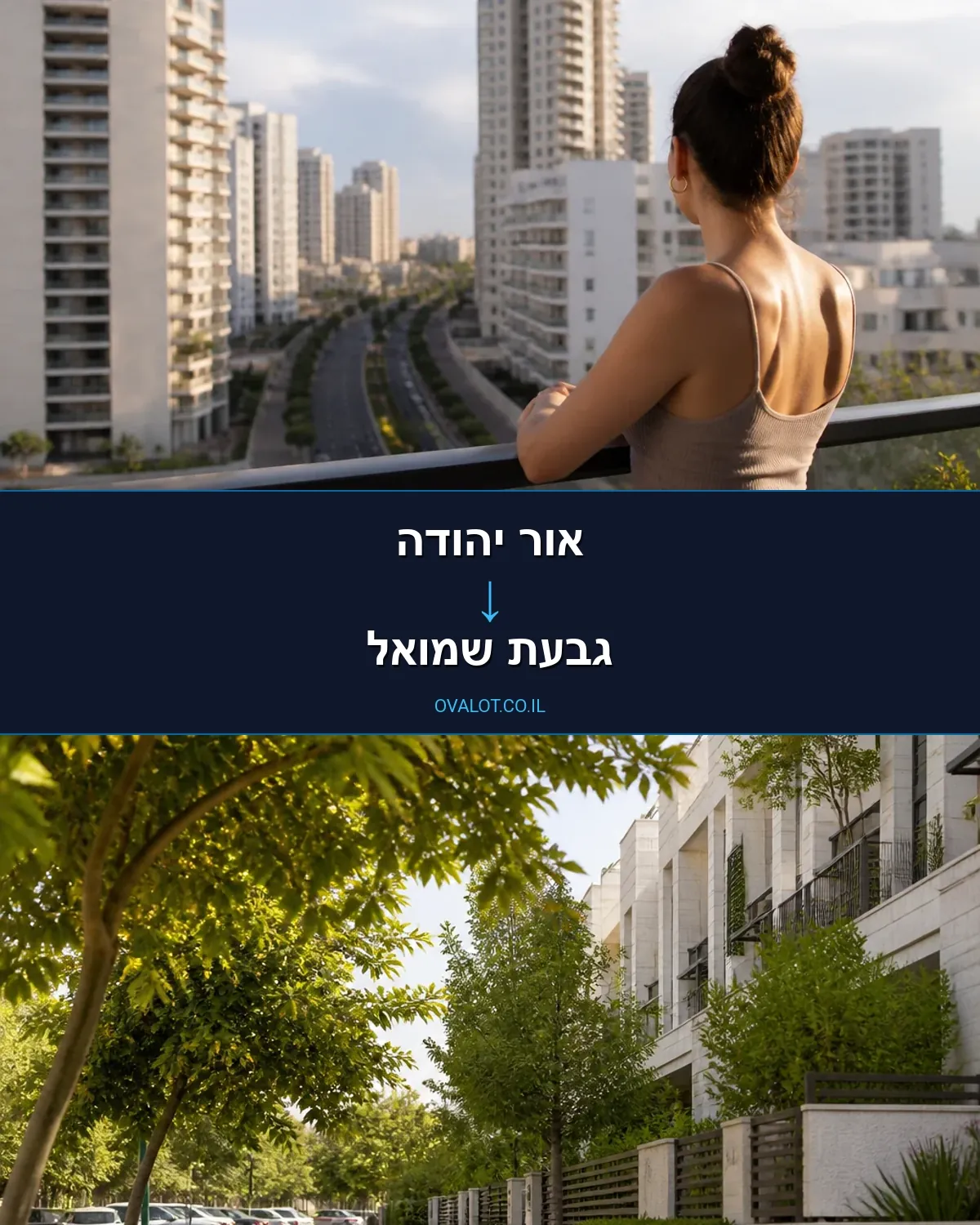 הובלות יצירות אמנות מאור יהודה לגבעת שמואל