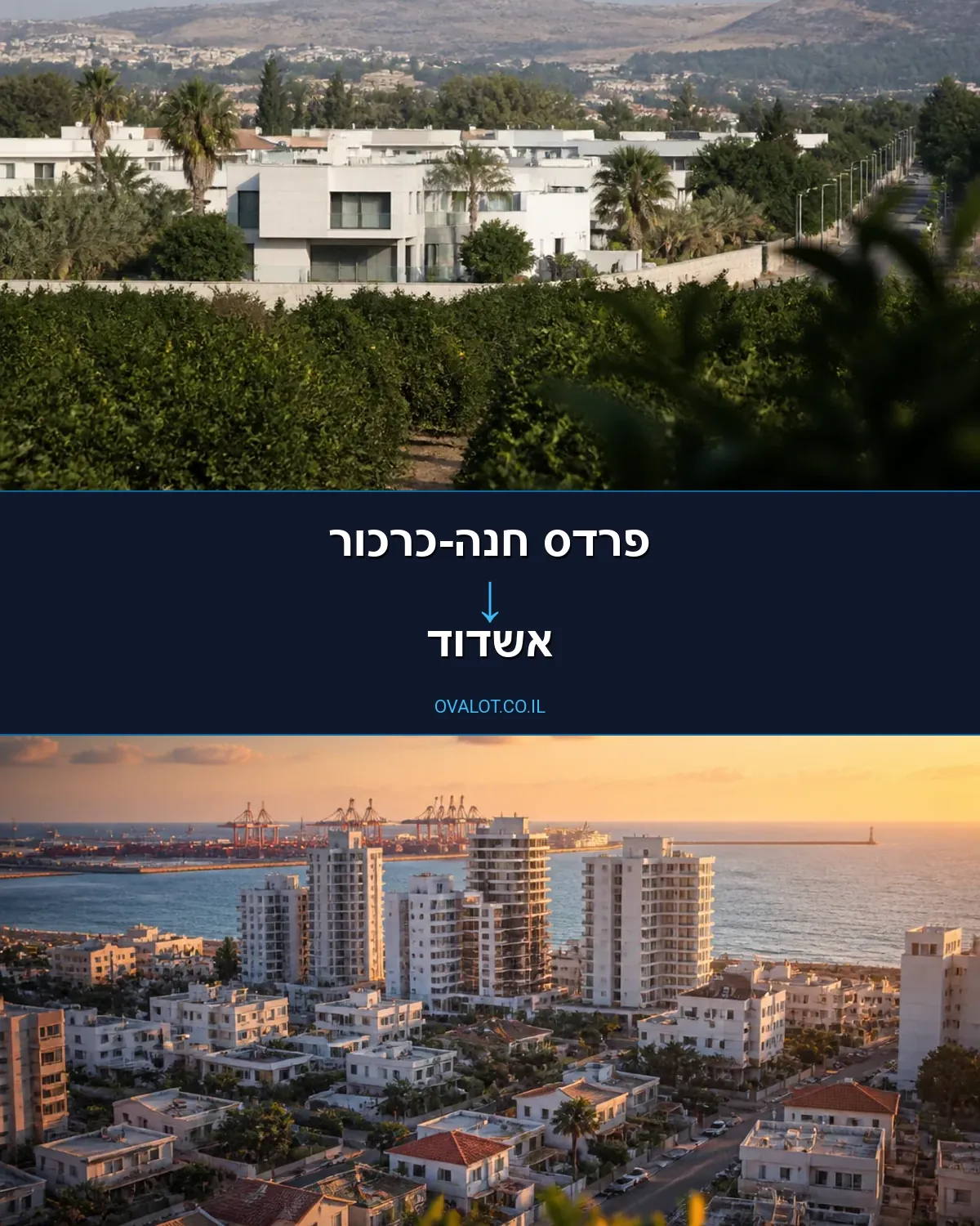 הובלות עם מעלית מפרדס חנה-כרכור לאשדוד