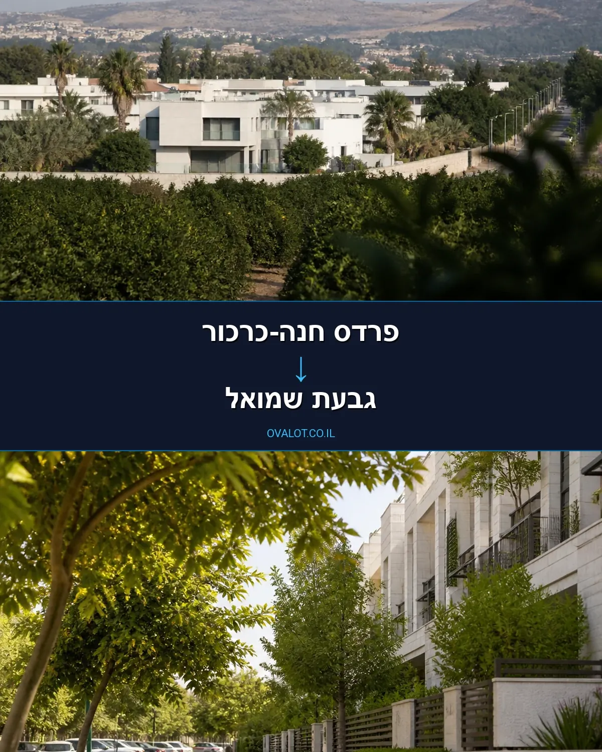הובלות עם מעלית מפרדס חנה-כרכור לגבעת שמואל