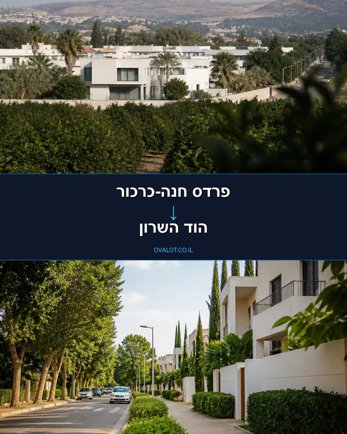 הובלות עם מנוף מפרדס חנה-כרכור להוד השרון
