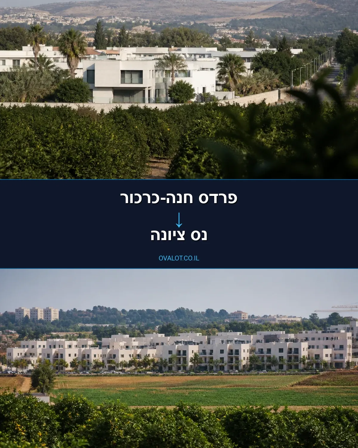 הובלות דירה מפרדס חנה-כרכור לנס ציונה