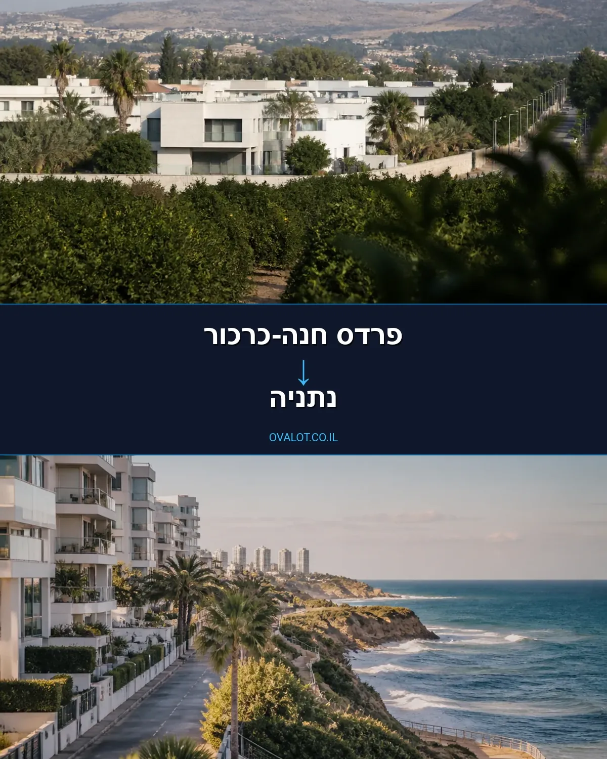 הובלה בקירור מפרדס חנה-כרכור לנתניה
