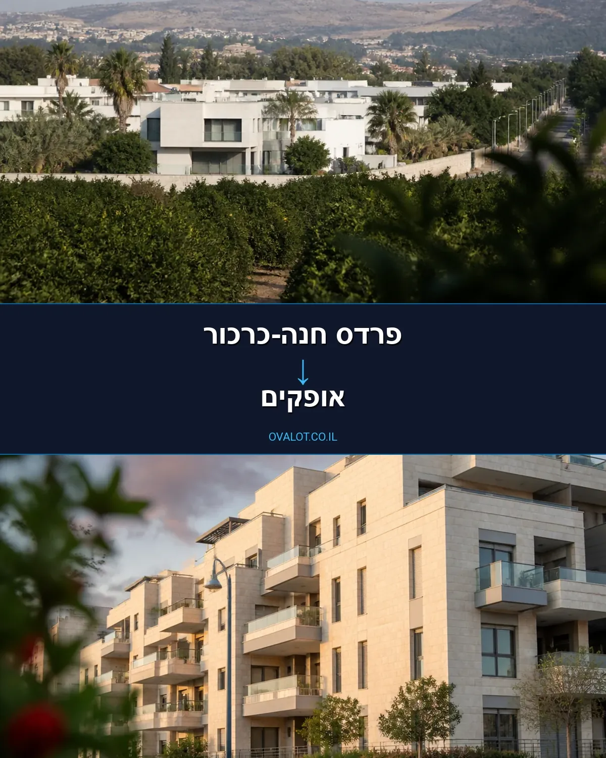הובלות יצירות אמנות מפרדס חנה-כרכור לאופקים