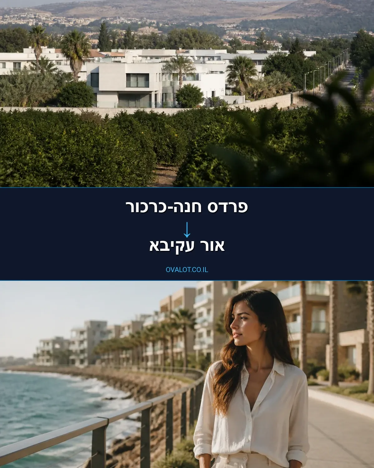 הובלות יצירות אמנות מפרדס חנה-כרכור לאור עקיבא