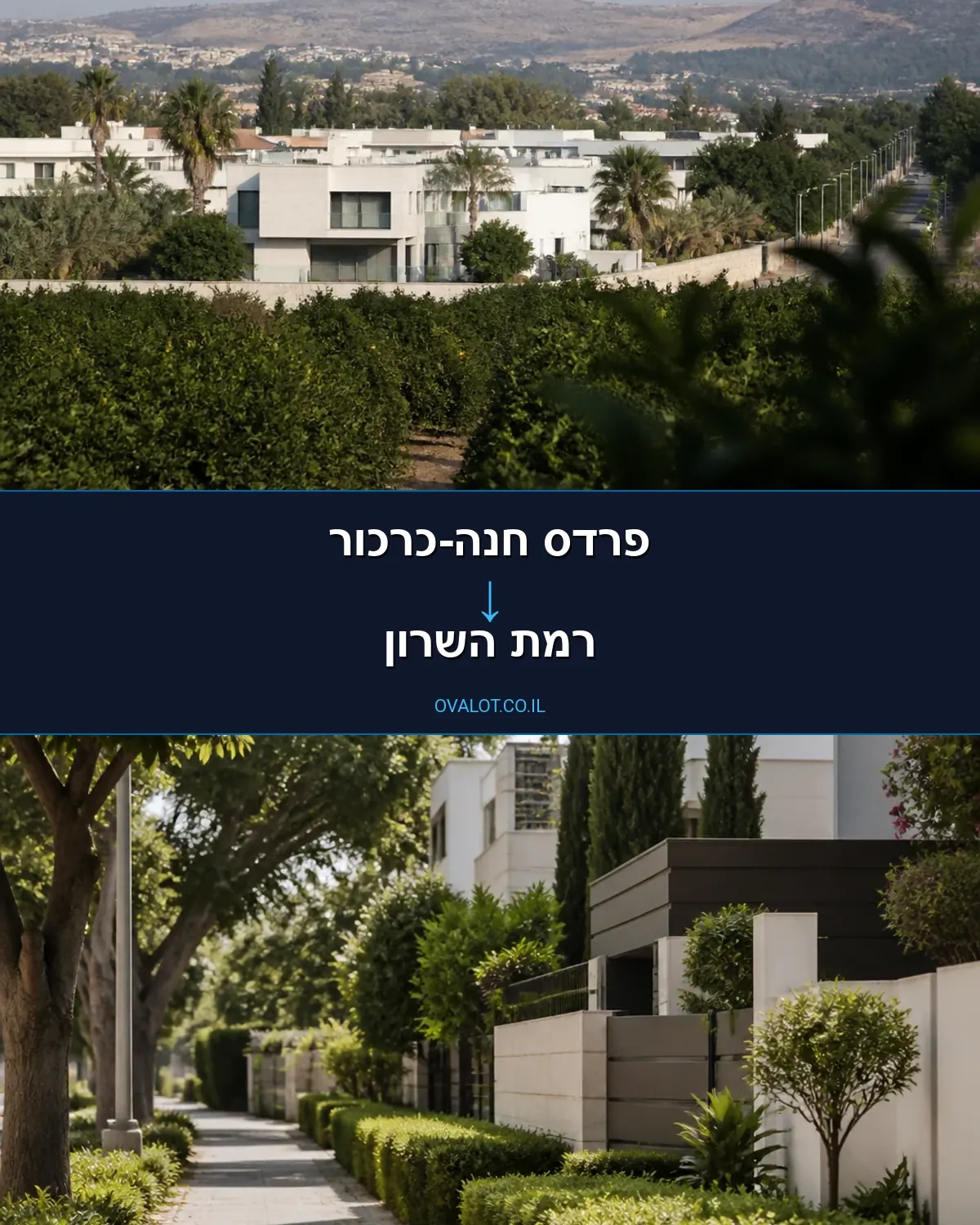 הובלות עם מעלית מפרדס חנה-כרכור לרמת השרון