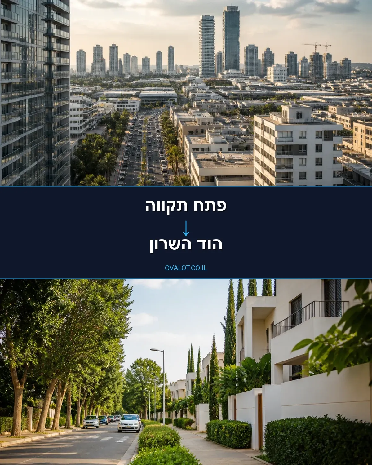 הובלה בקירור מפתח תקווה להוד השרון