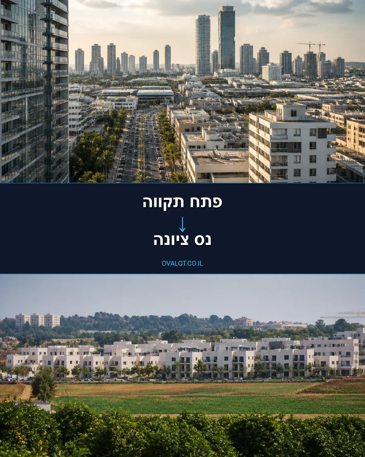 הובלות דירה מפתח תקווה לנס ציונה