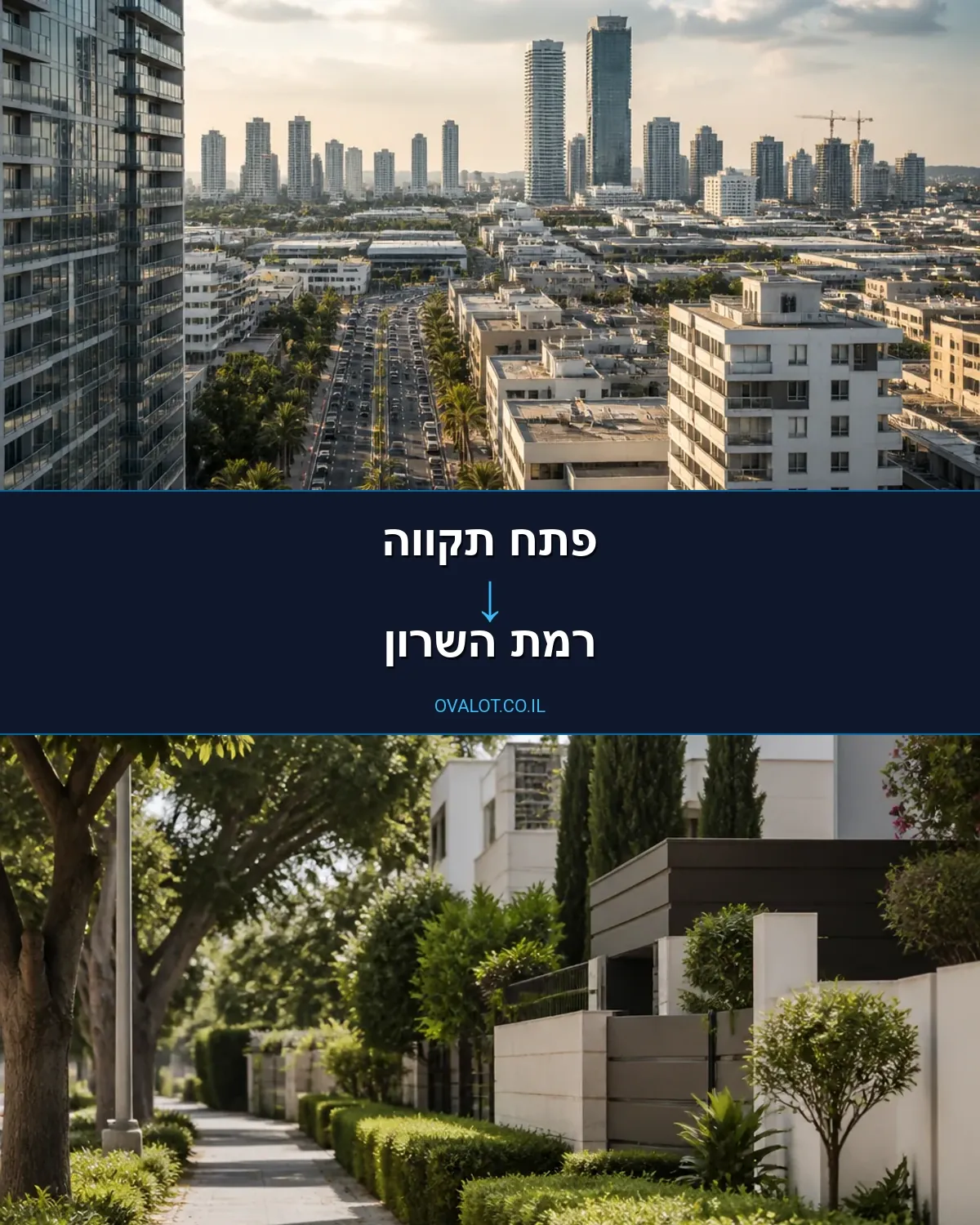 הובלות עם מנוף מפתח תקווה לרמת השרון