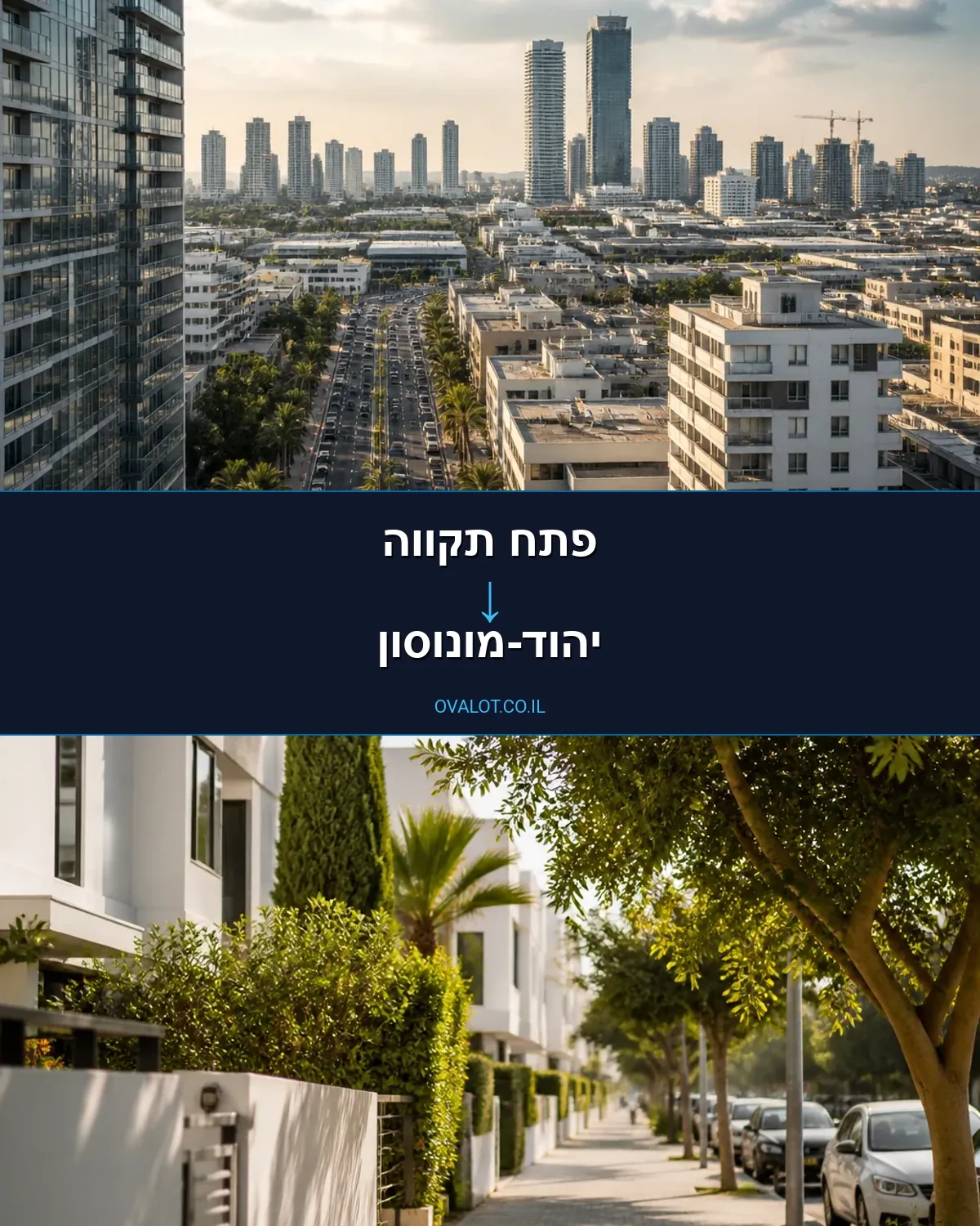 שירותי אריזה מפתח תקווה ליהוד-מונוסון