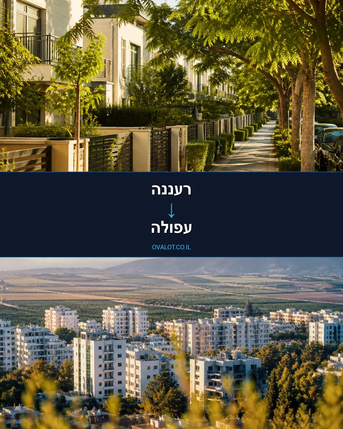 הובלות יצירות אמנות מרעננה לעפולה