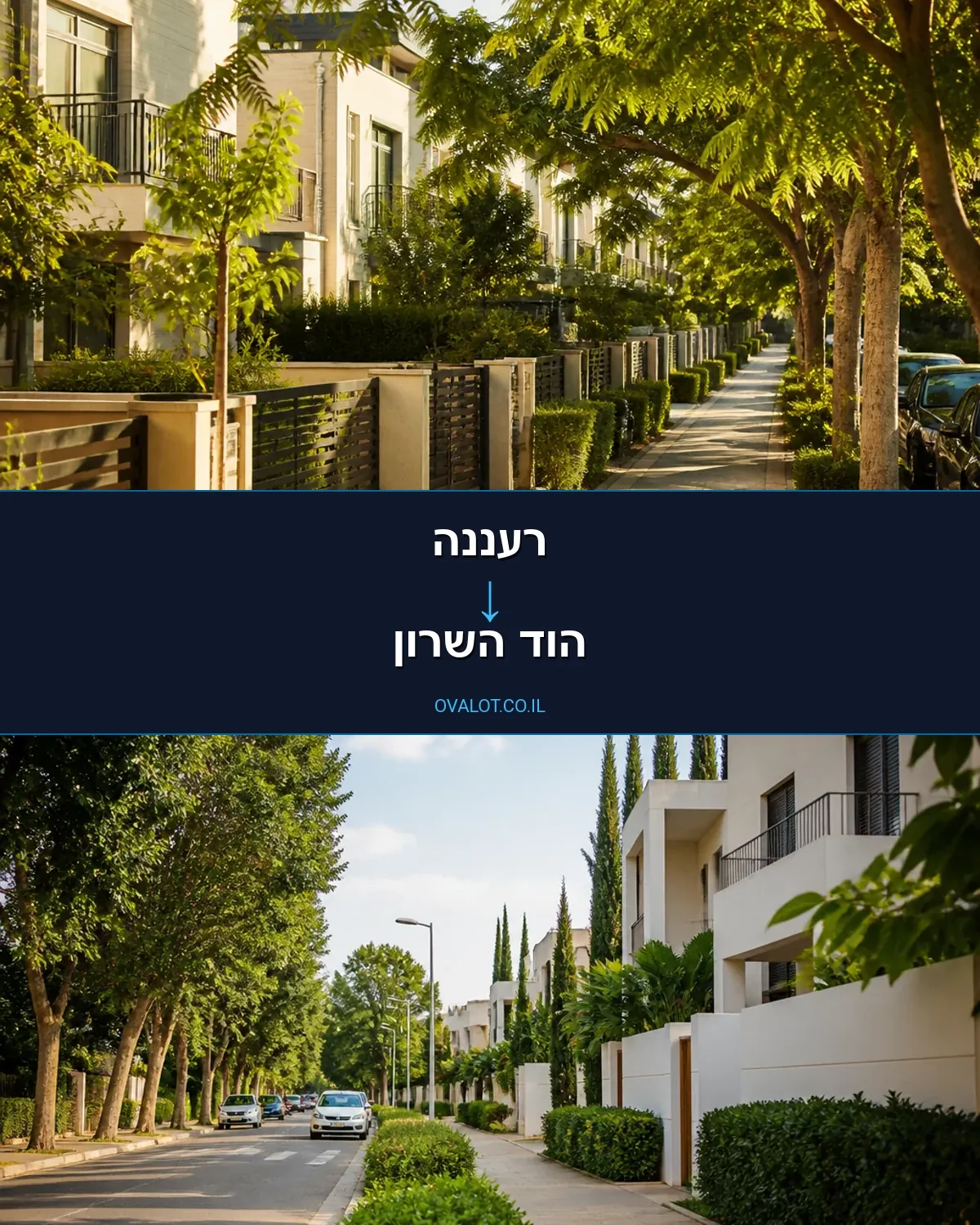 הובלות עם מנוף מרעננה להוד השרון