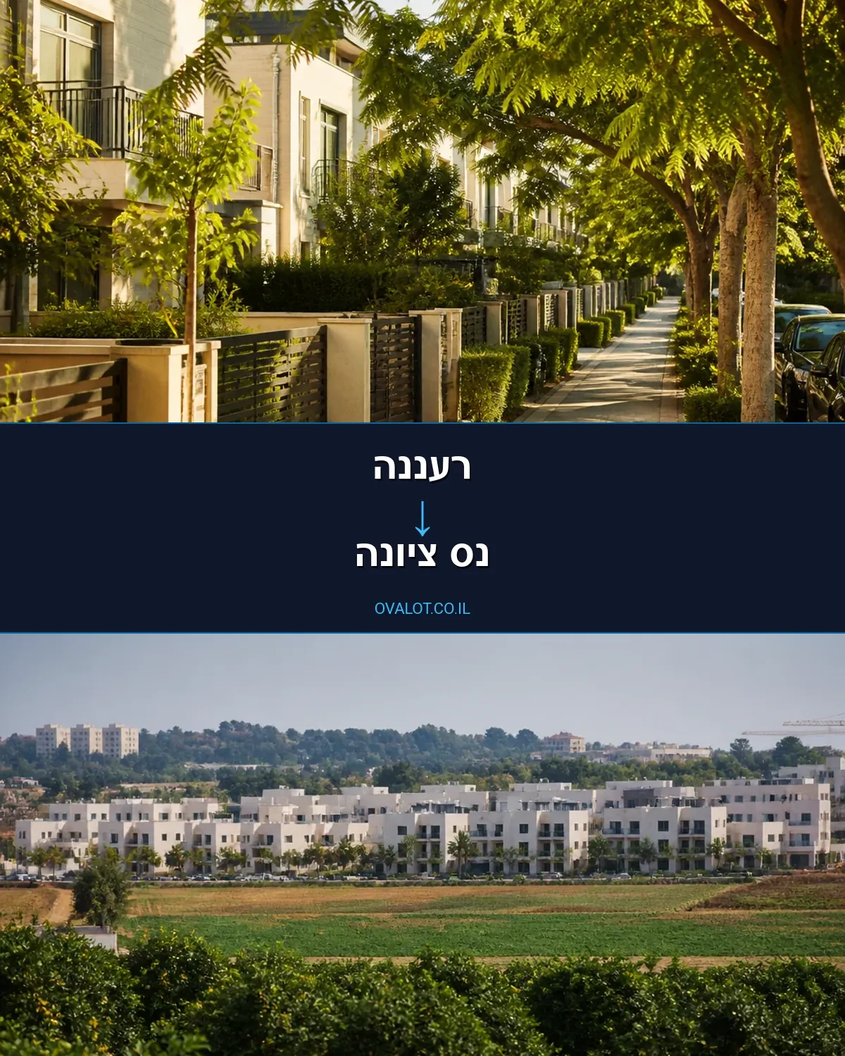 הובלות עם מעלית מרעננה לנס ציונה