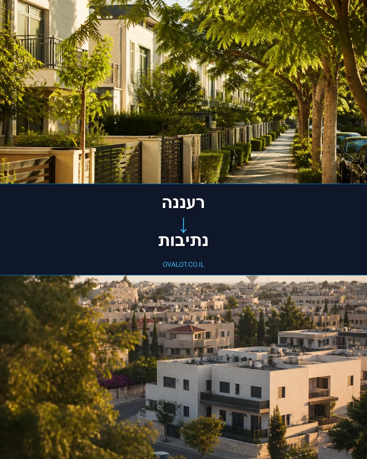 הובלות כספות מרעננה לנתיבות