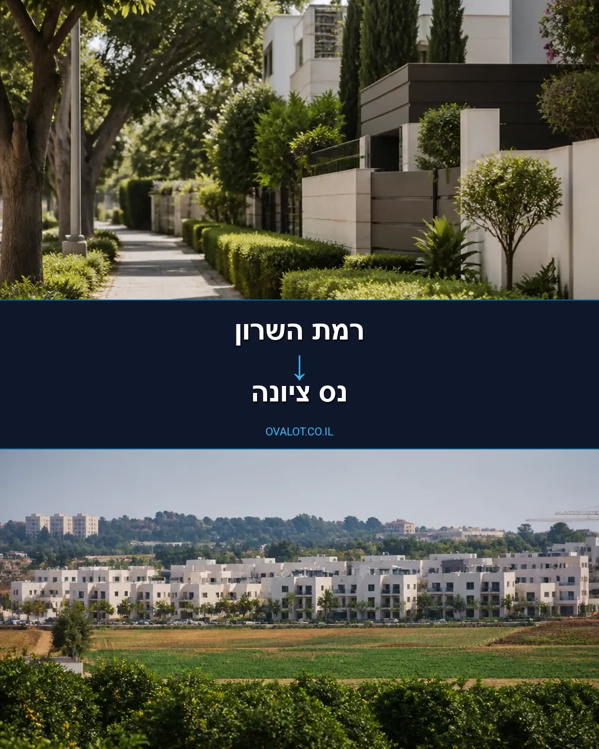הובלות בתים פרטיים מרמת השרון לנס ציונה