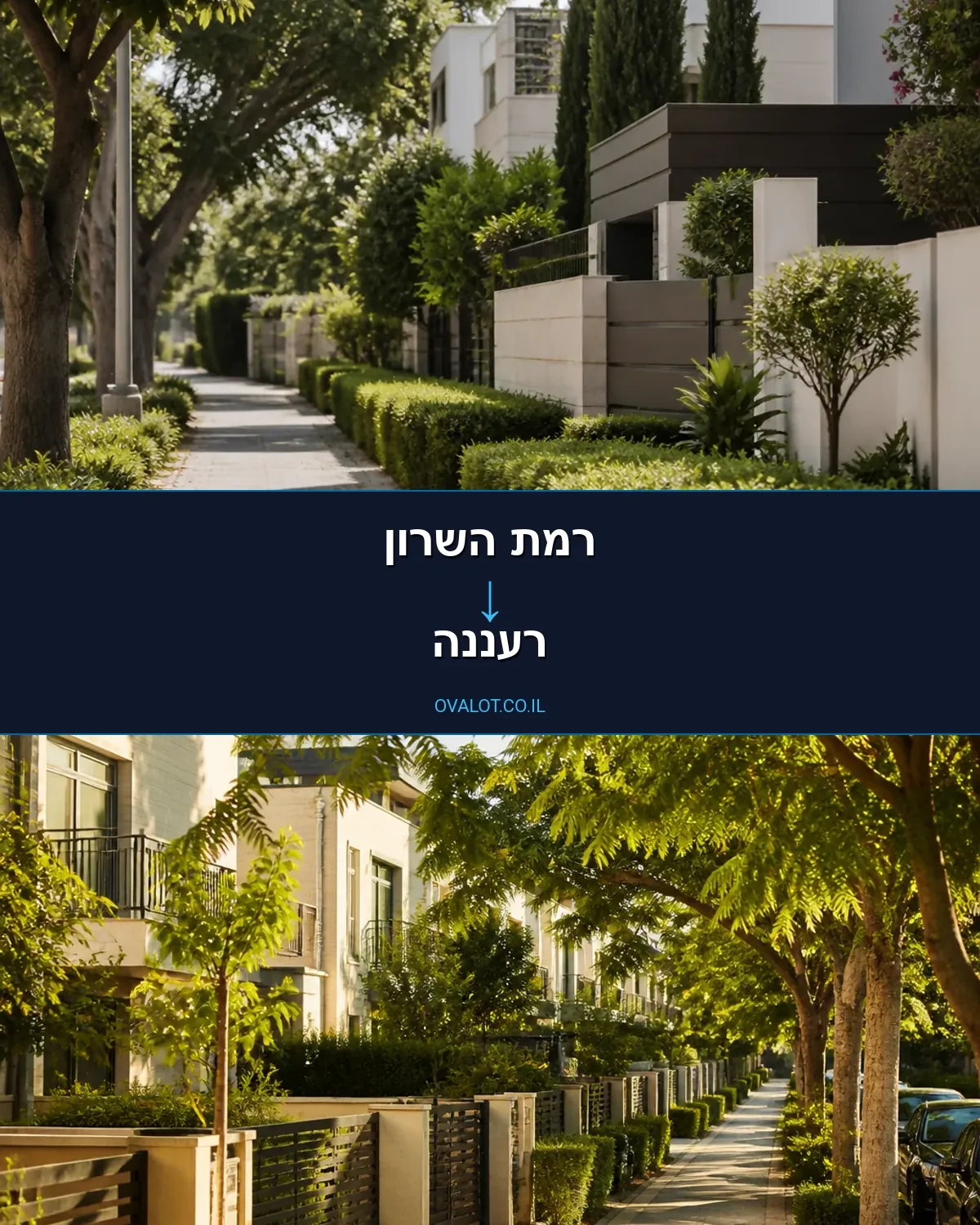 הובלות עם מנוף מרמת השרון לרעננה