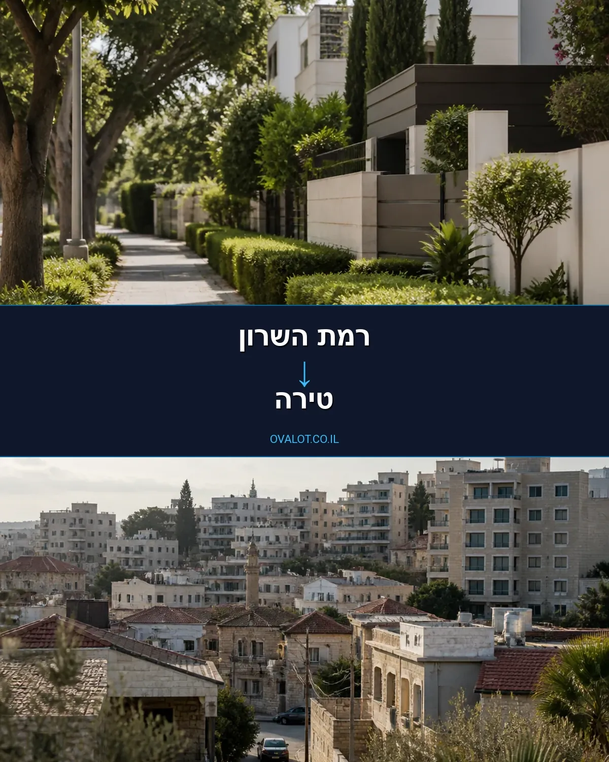 הובלות יצירות אמנות מרמת השרון לטירה
