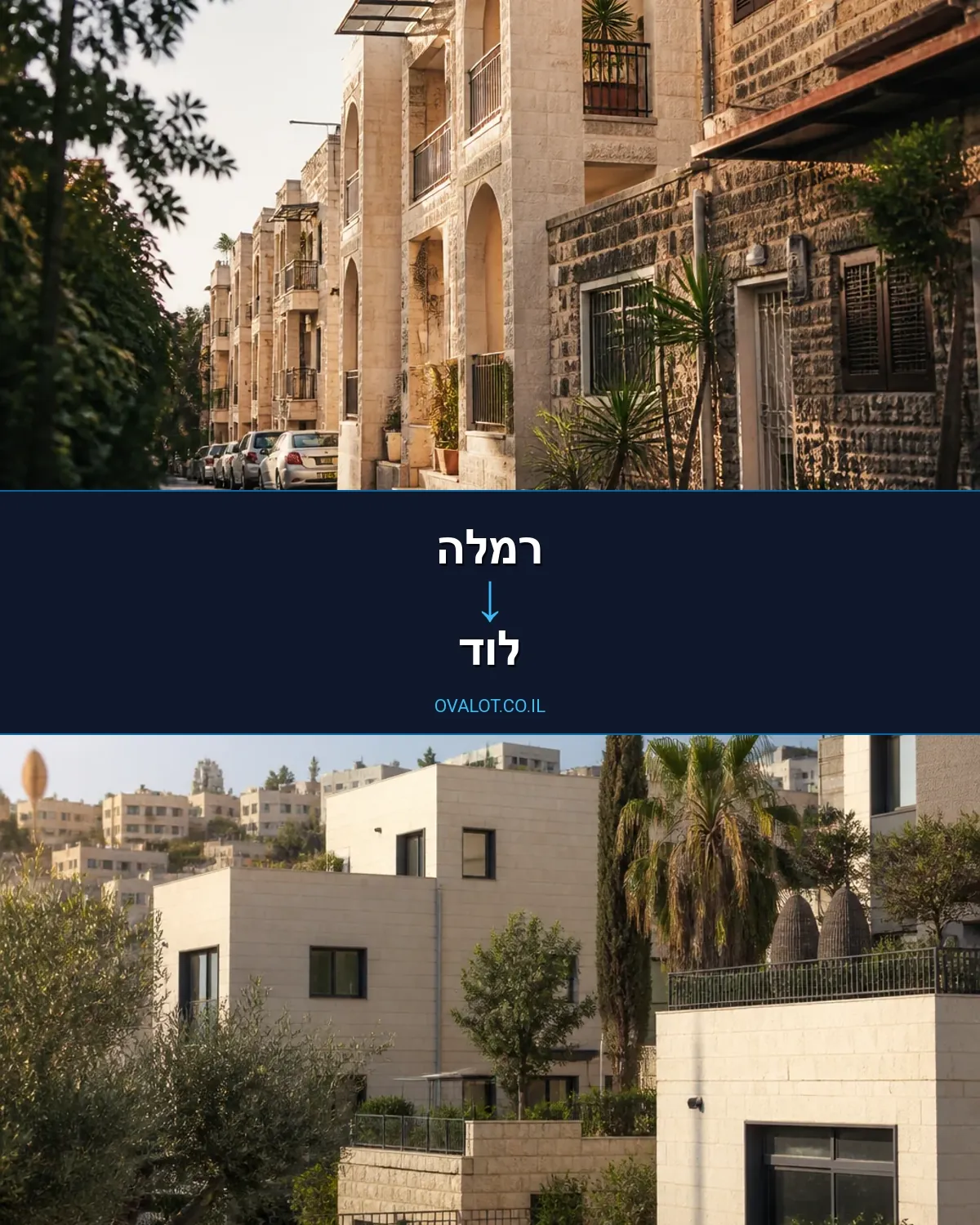הובלות יצירות אמנות מרמלה ללוד