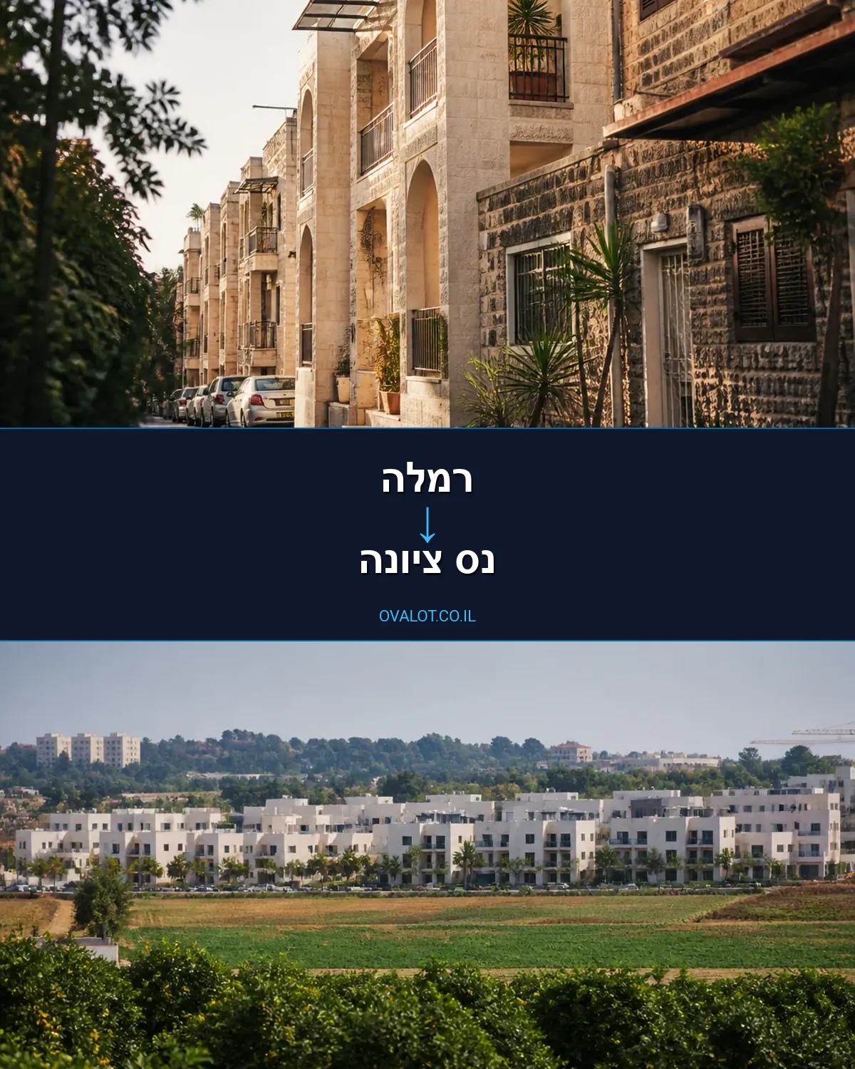 הובלות עם מנוף מרמלה לנס ציונה
