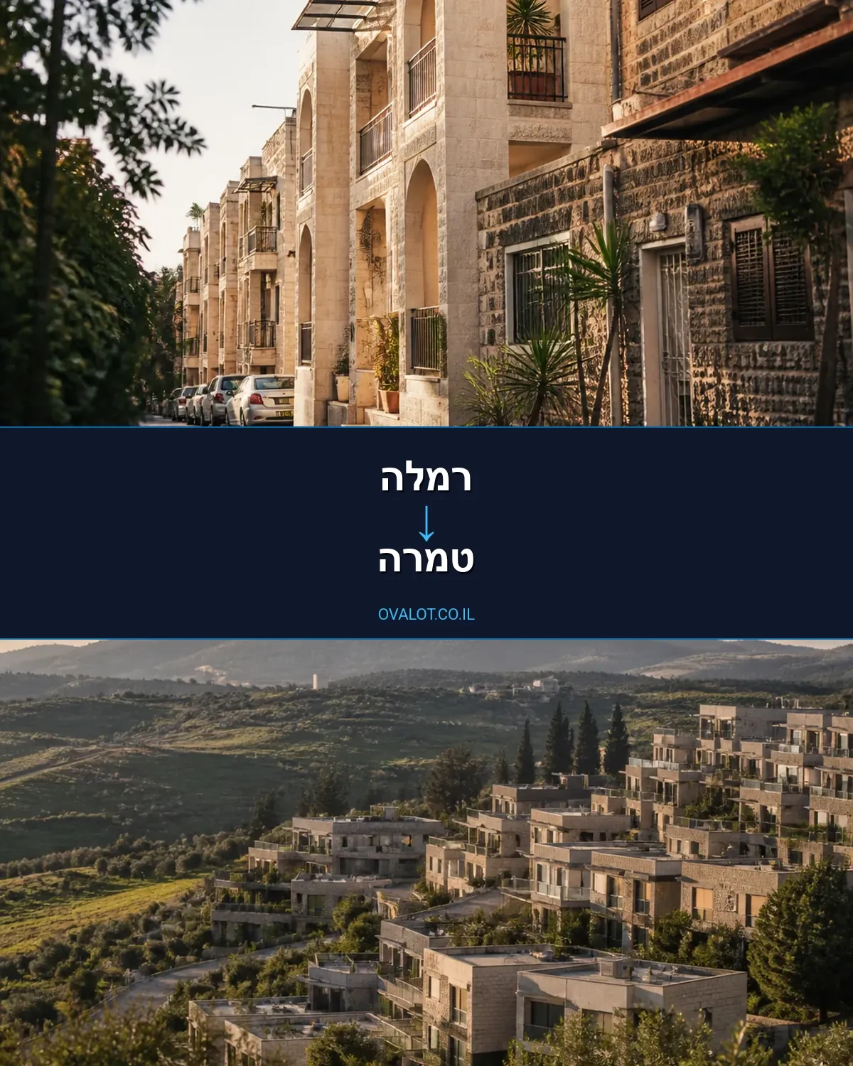 הובלות יצירות אמנות מרמלה לטמרה