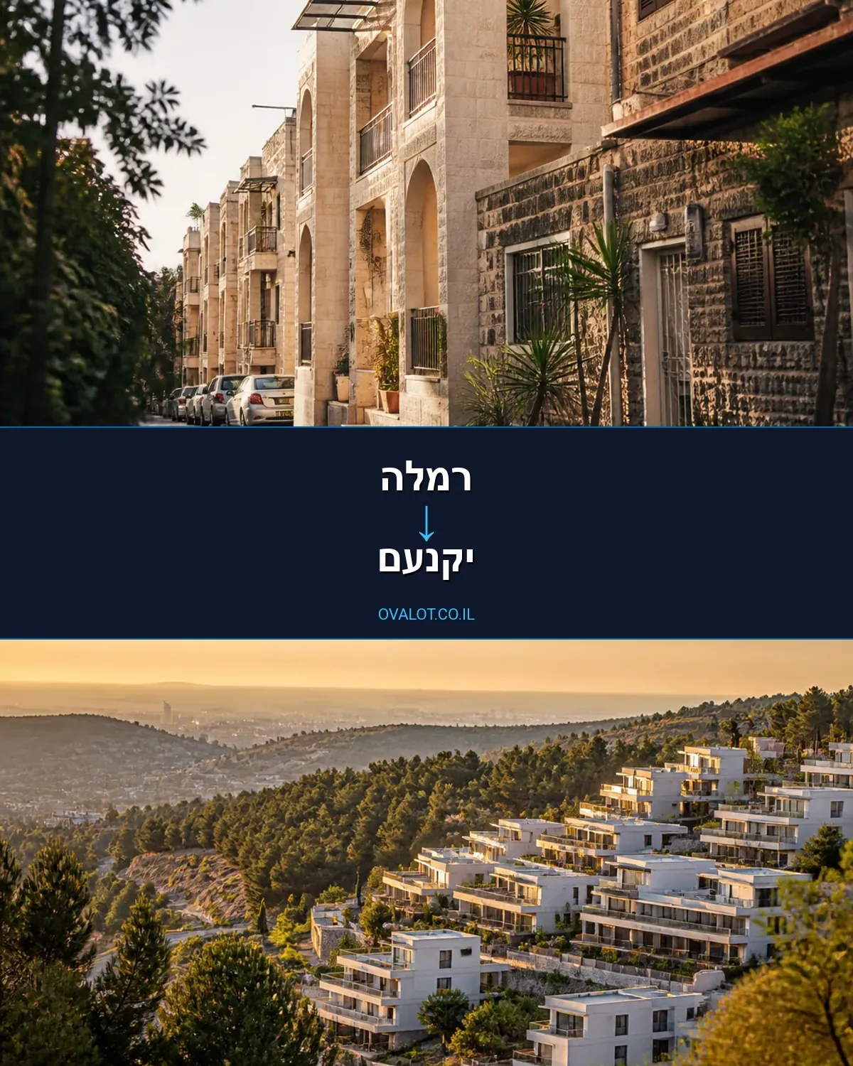 שירותי אריזה מרמלה ליקנעם