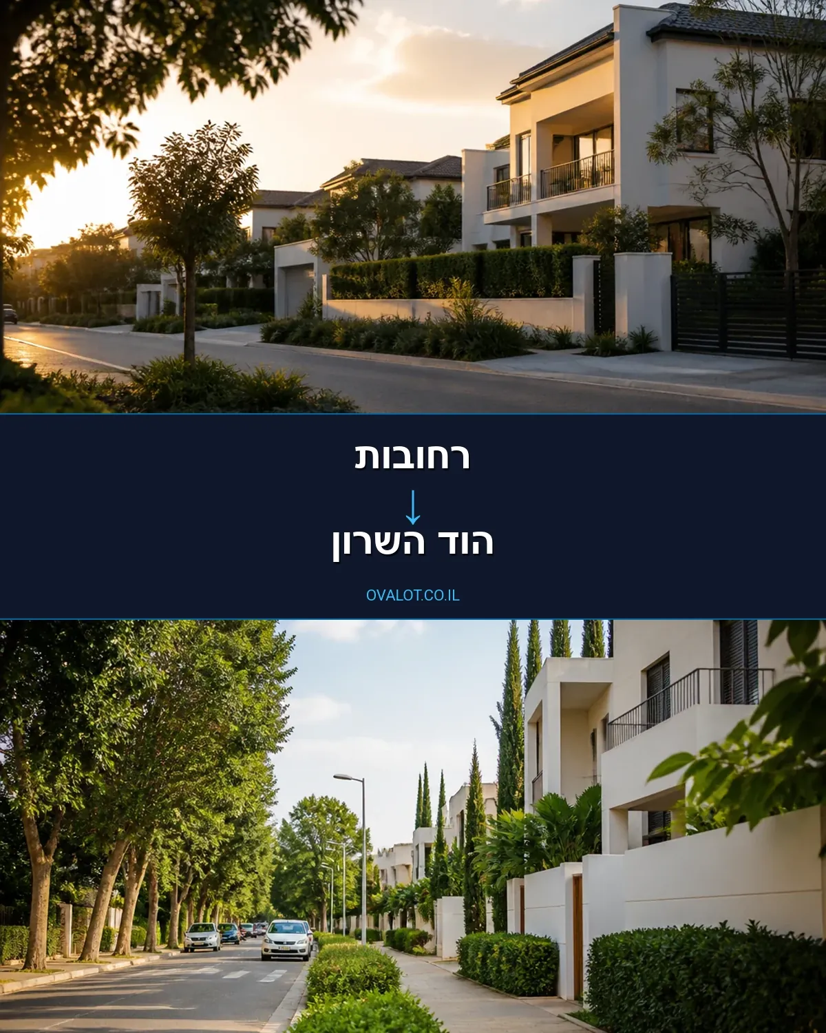 הובלת מטענים חורגים מרחובות להוד השרון