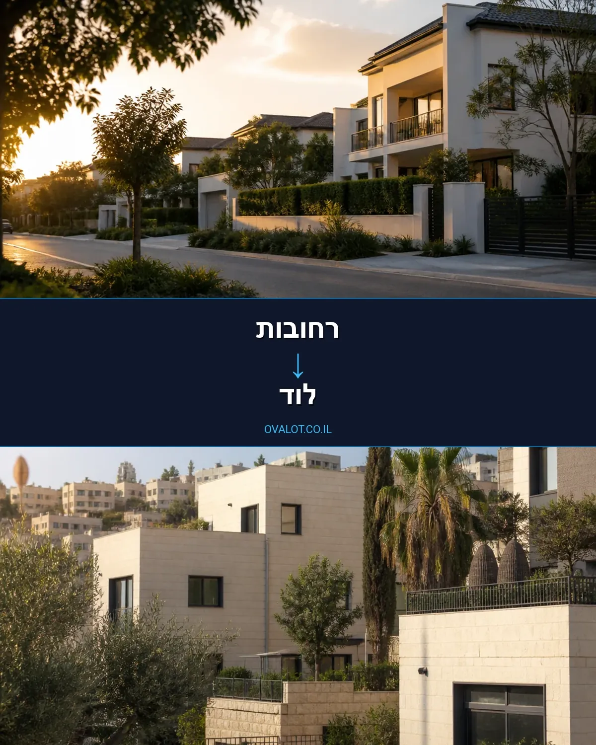 הובלות עם מנוף מרחובות ללוד