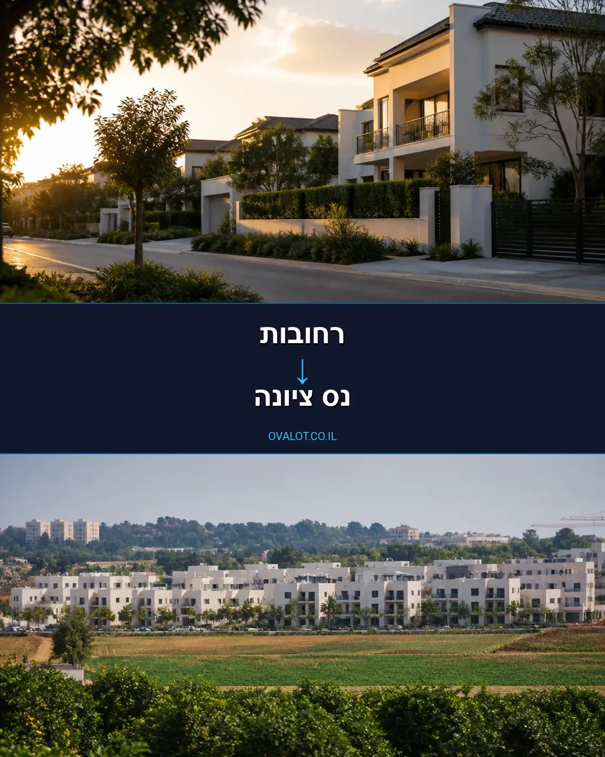 הובלות עם מנוף מרחובות לנס ציונה