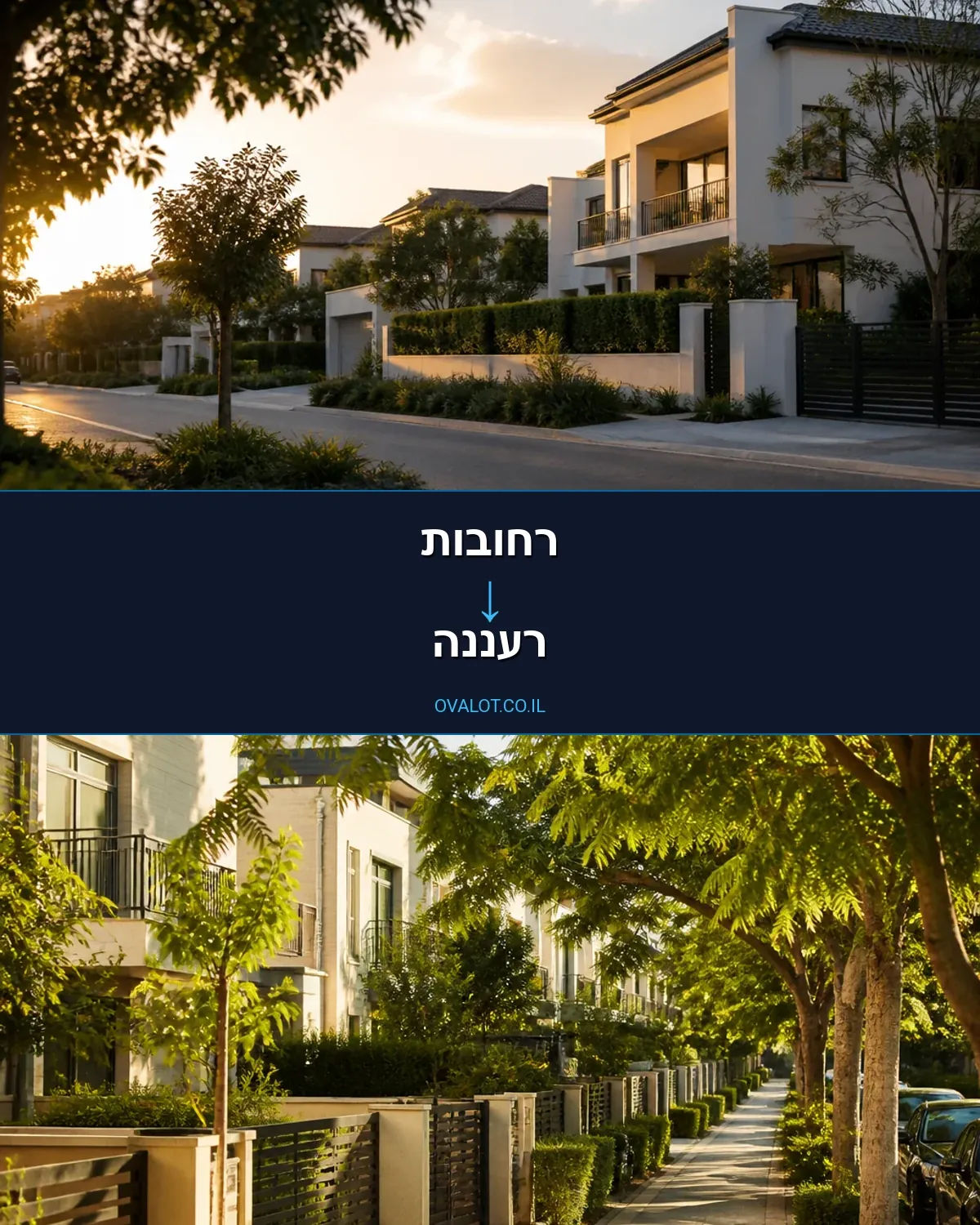 הובלות עם מעלית מרחובות לרעננה