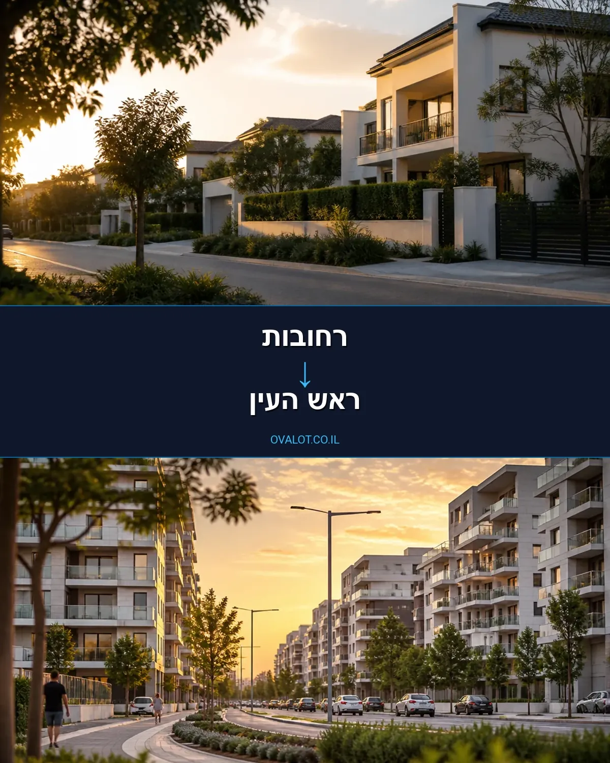 שירותי אריזה מרחובות לראש העין