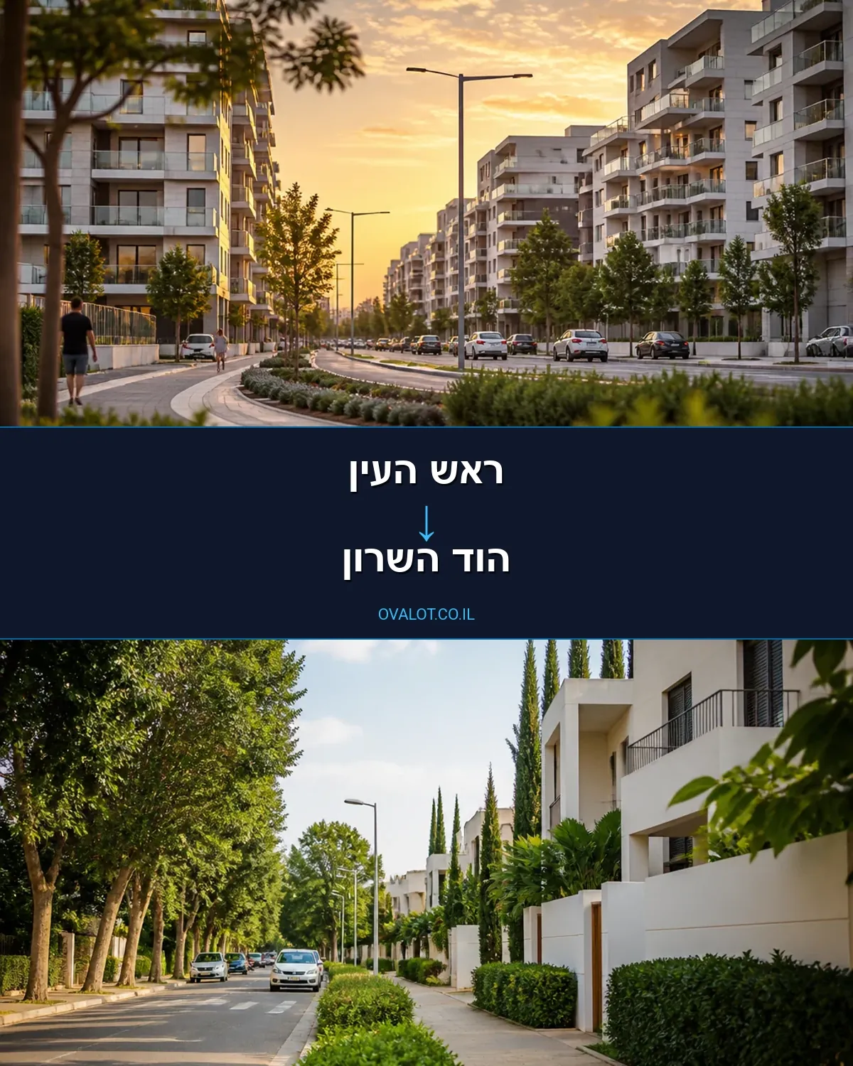 הובלות עם מנוף מראש העין להוד השרון
