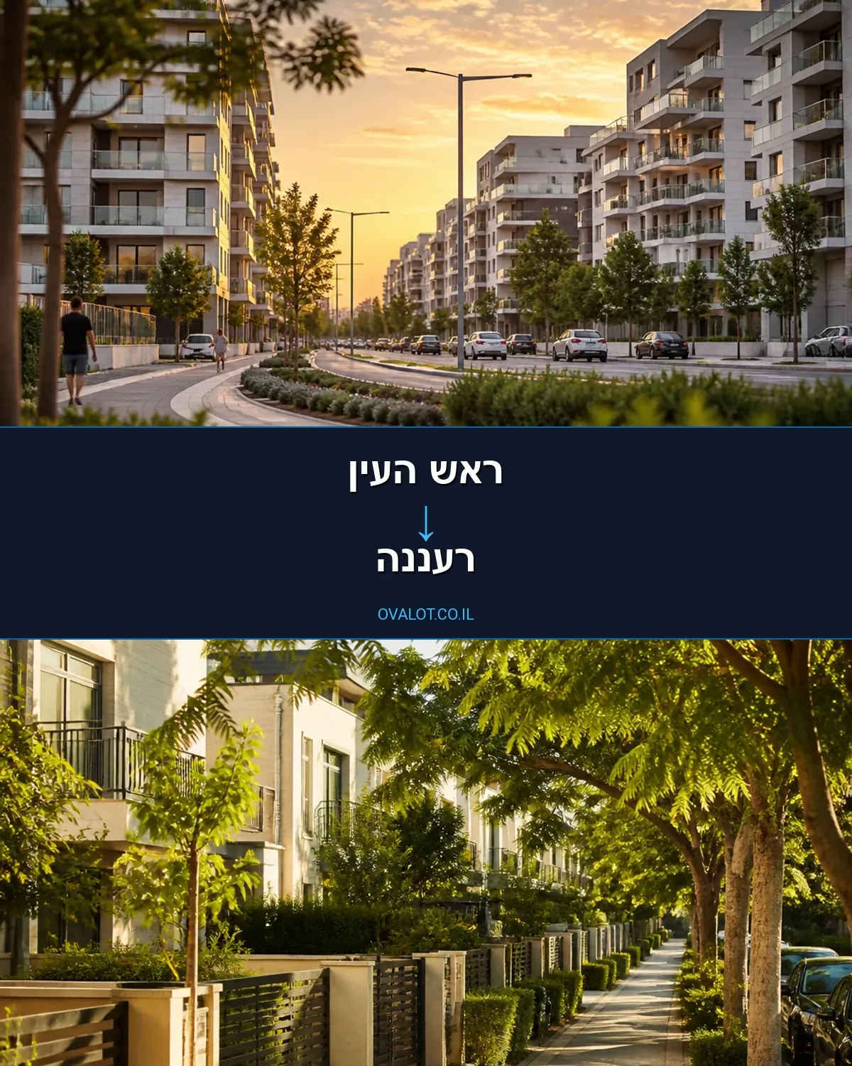 הובלות עם מנוף מראש העין לרעננה