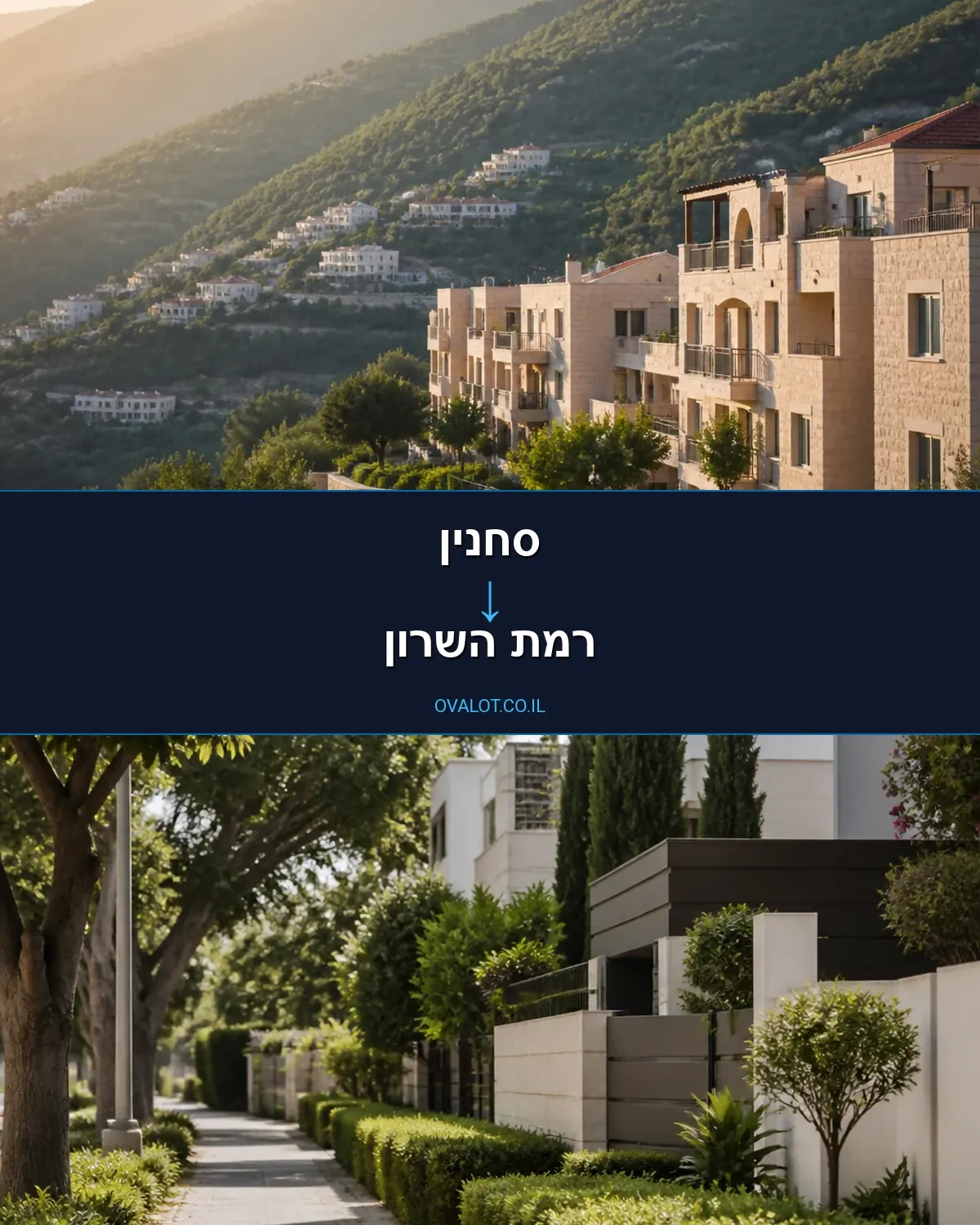 הובלות יצירות אמנות מסחנין לרמת השרון