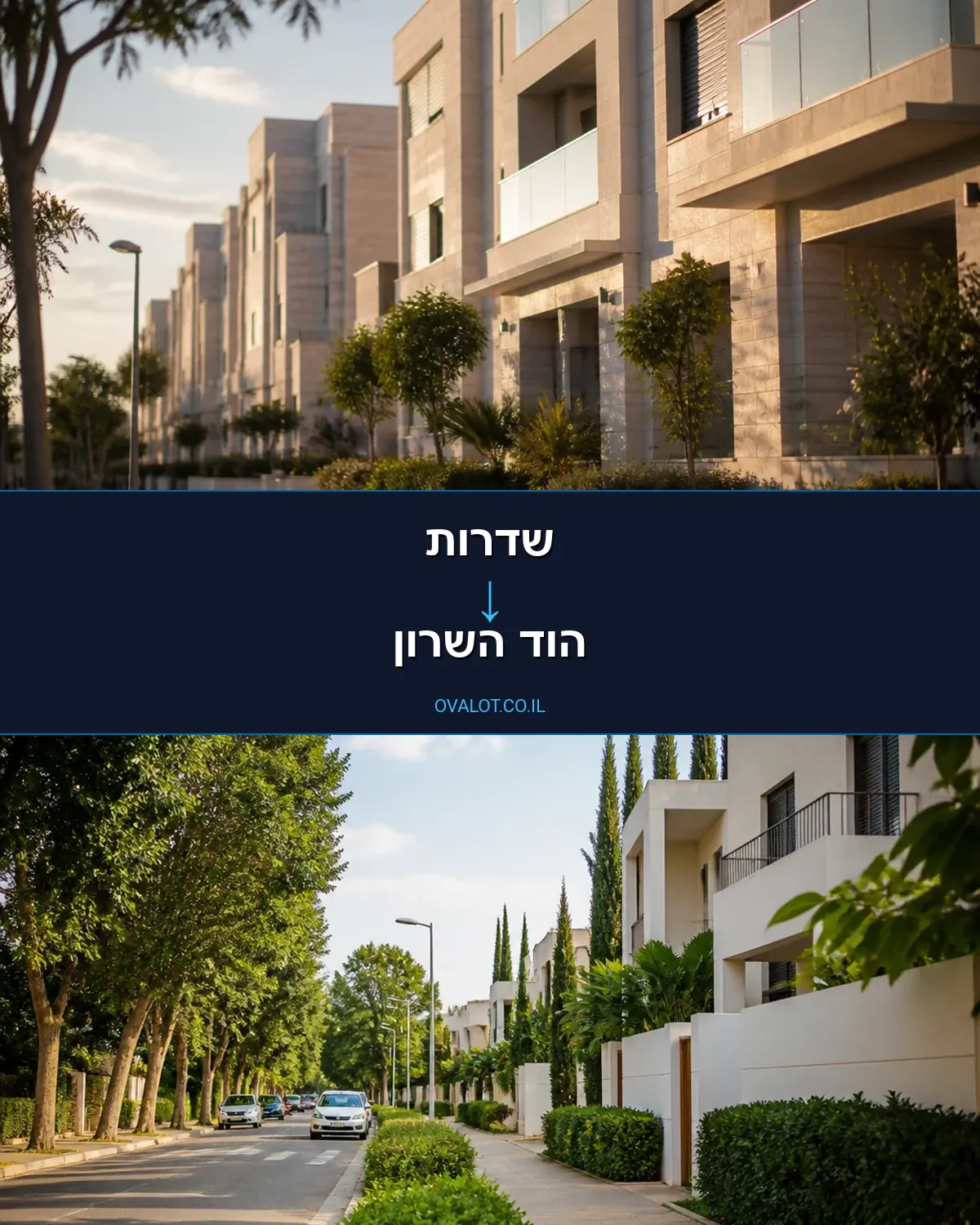הובלות עם מעלית משדרות להוד השרון