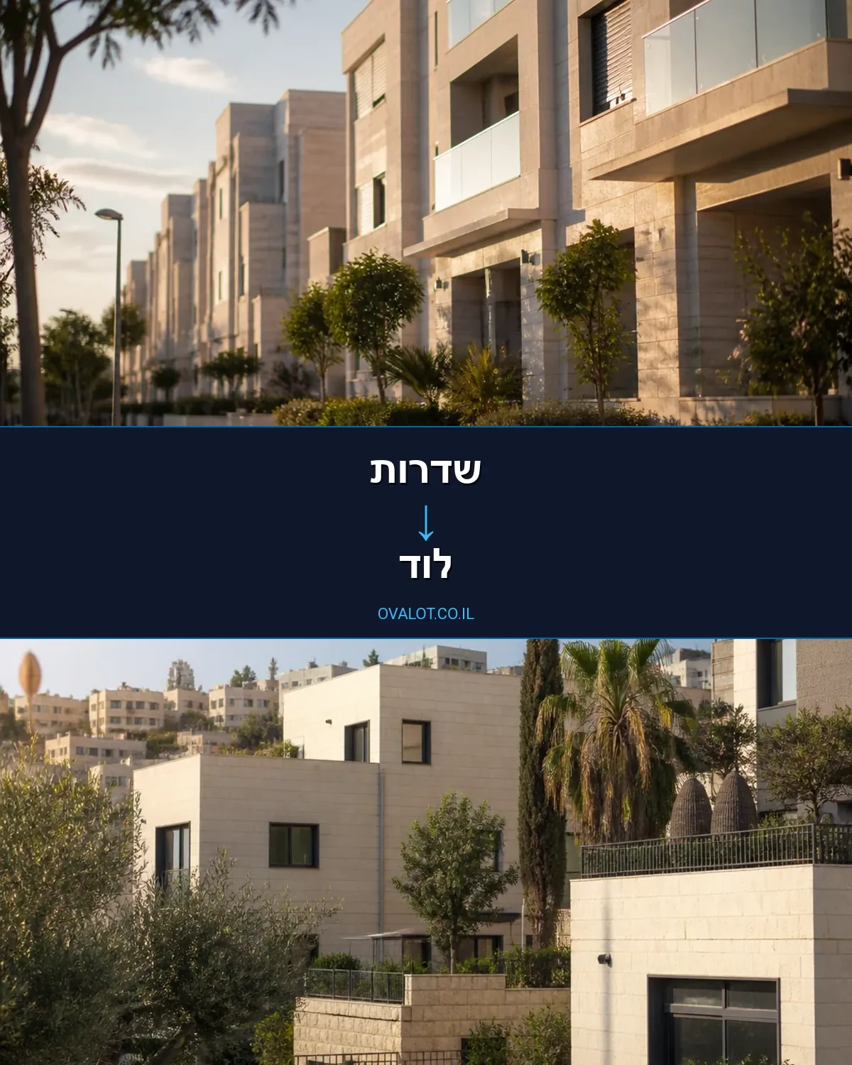 הובלות דירה משדרות ללוד