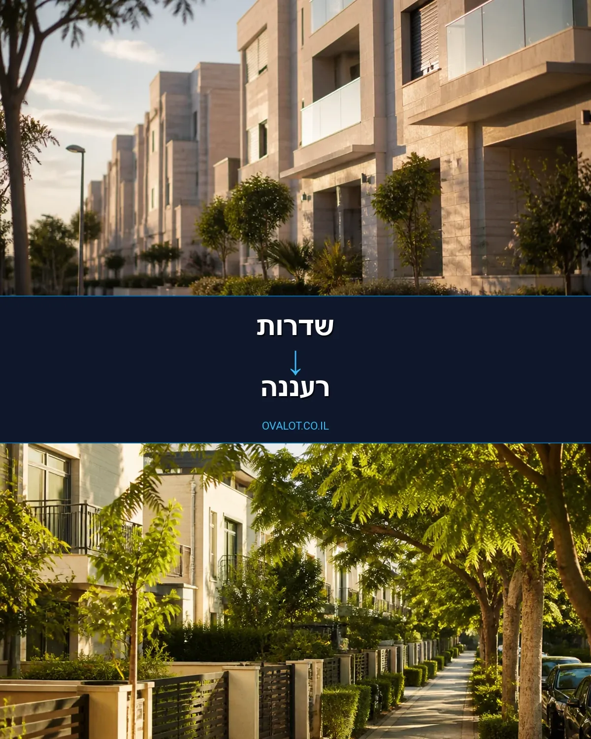 הובלות עם מנוף משדרות לרעננה