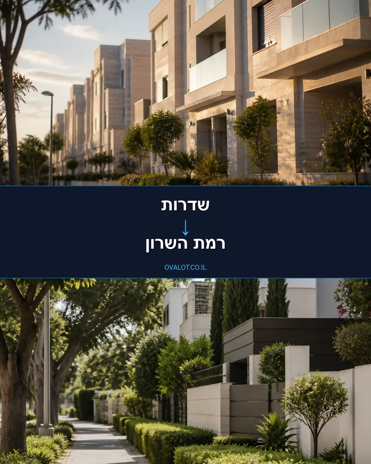 הובלות יצירות אמנות משדרות לרמת השרון
