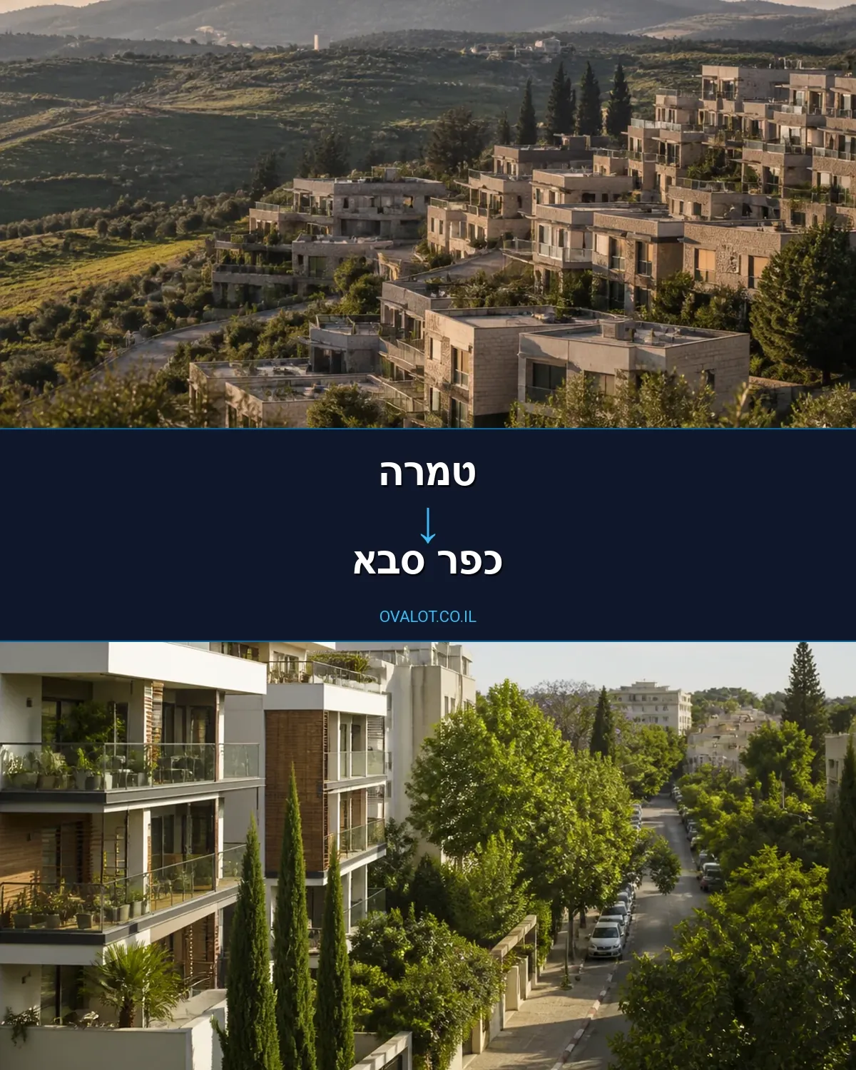 הובלה בקירור מטמרה לכפר סבא