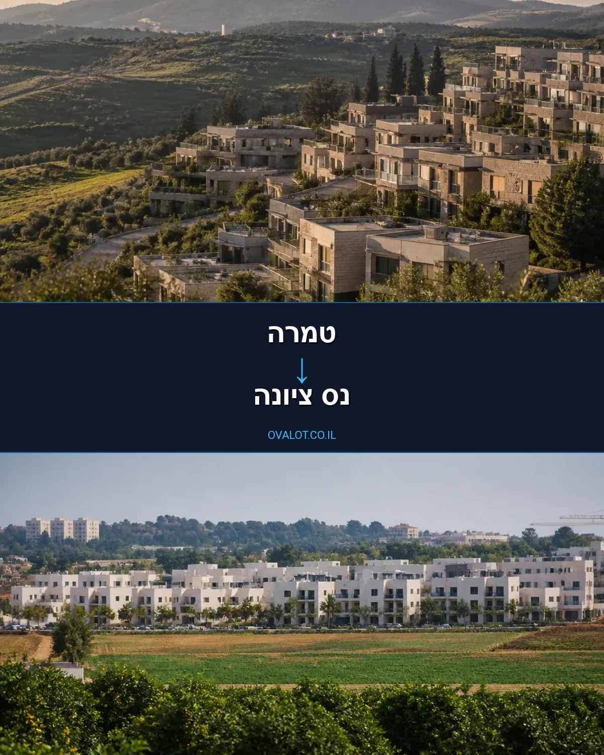 הובלות עם מנוף מטמרה לנס ציונה