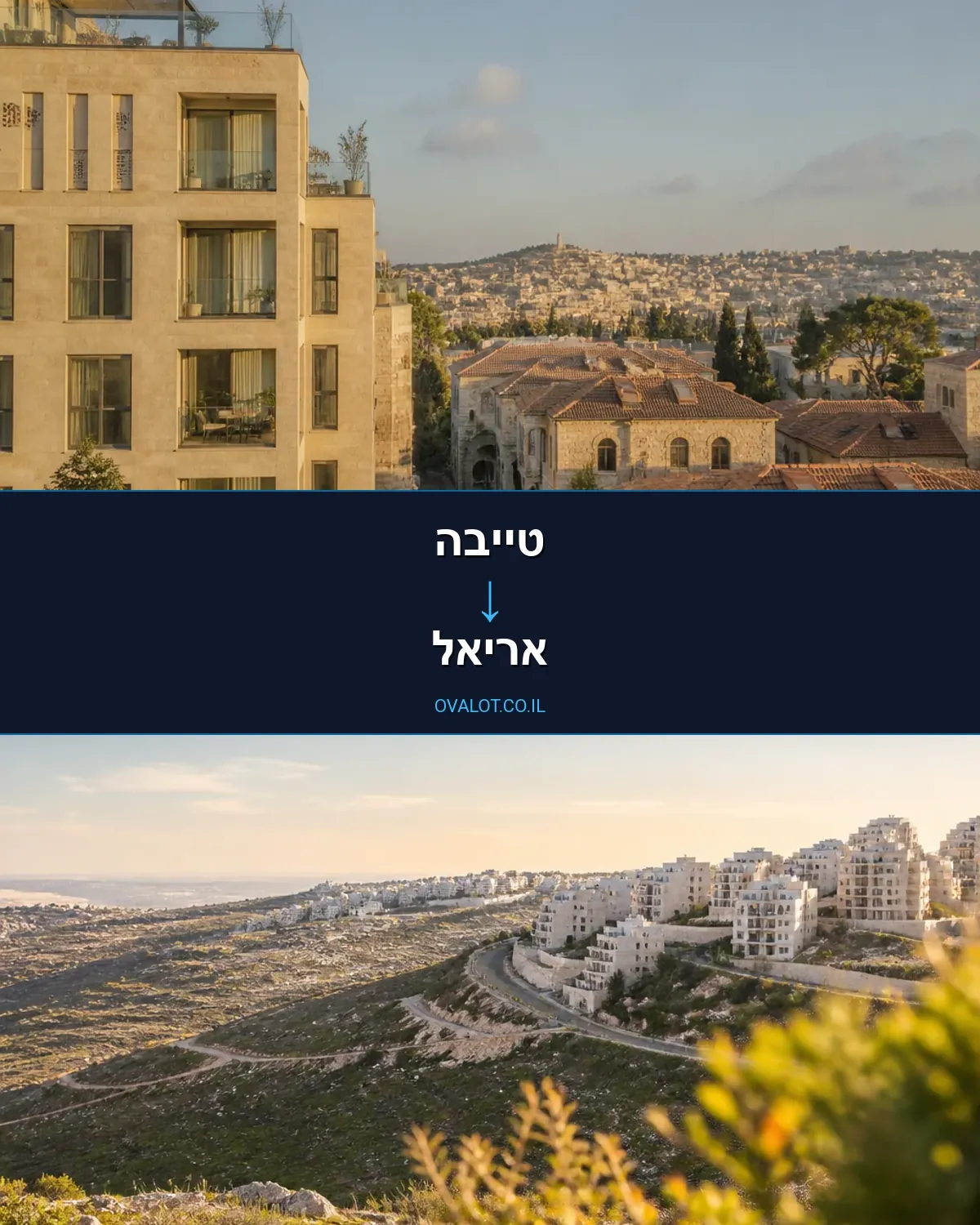 הובלות יצירות אמנות מטייבה לאריאל