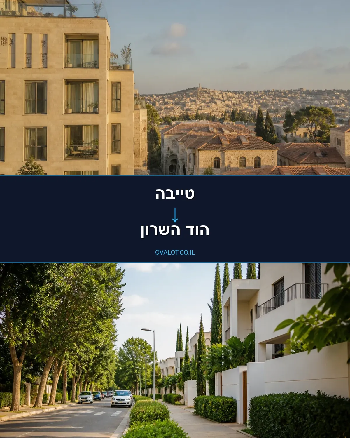 הובלת מכולות מטייבה להוד השרון