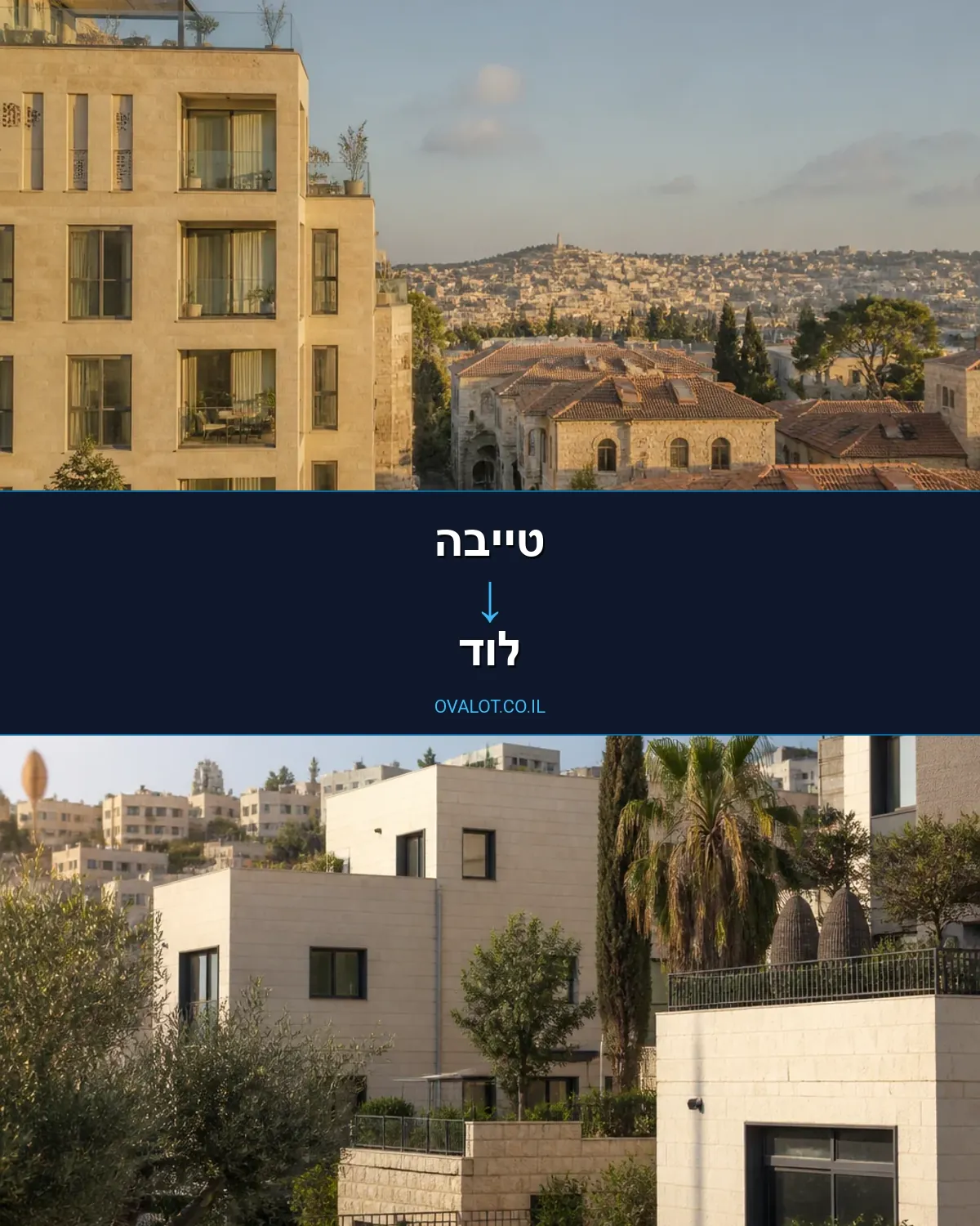הובלות כספות מטייבה ללוד