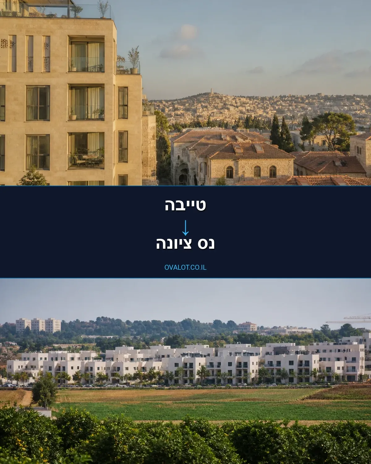 הובלות דירה מטייבה לנס ציונה